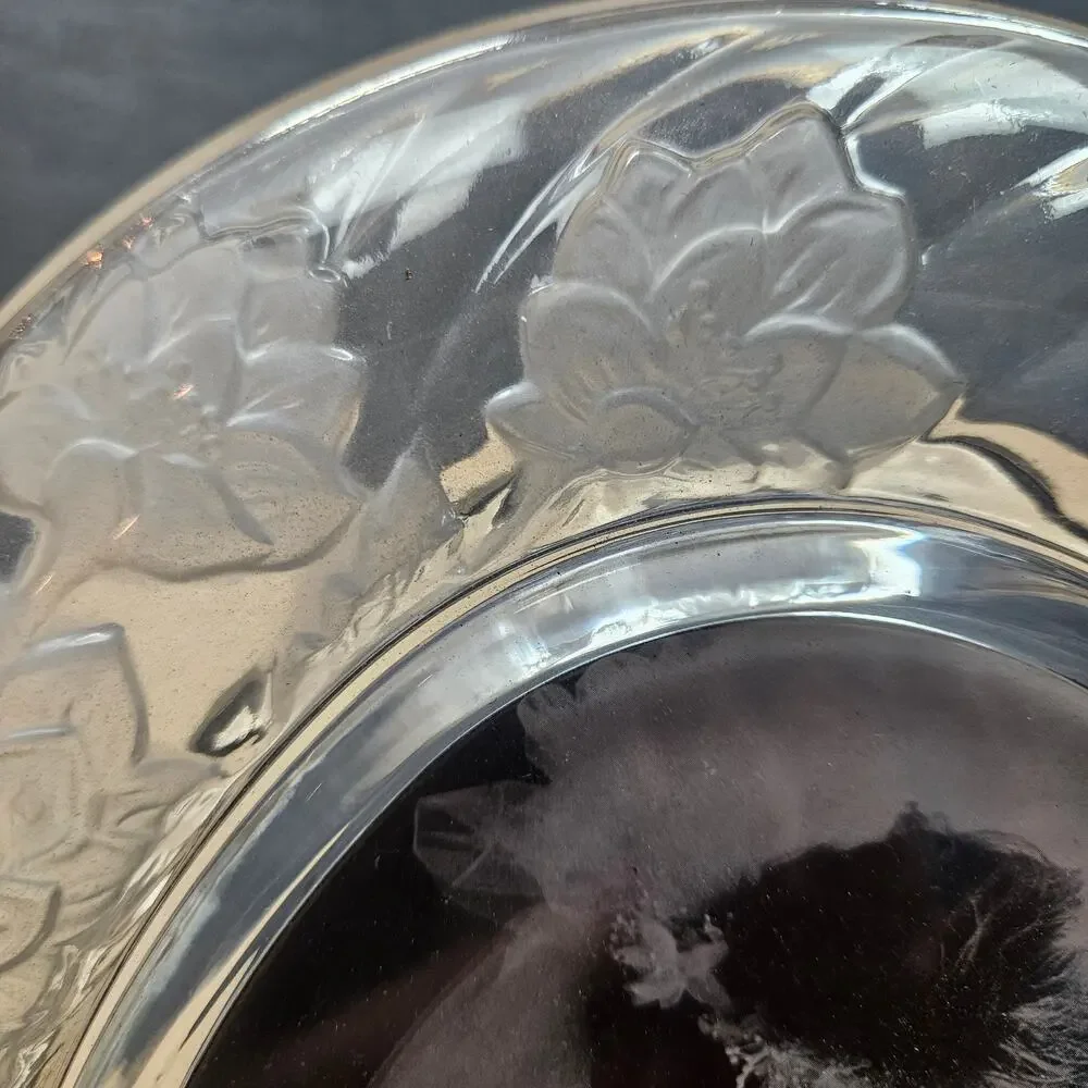Vtg Crystal Clear Signatures Oval 5x7 Picture Frame Frosted Chrysanthemum Glass
